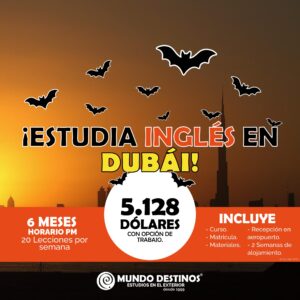 Programa de inglés en Dubai
