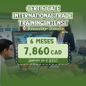 international trade