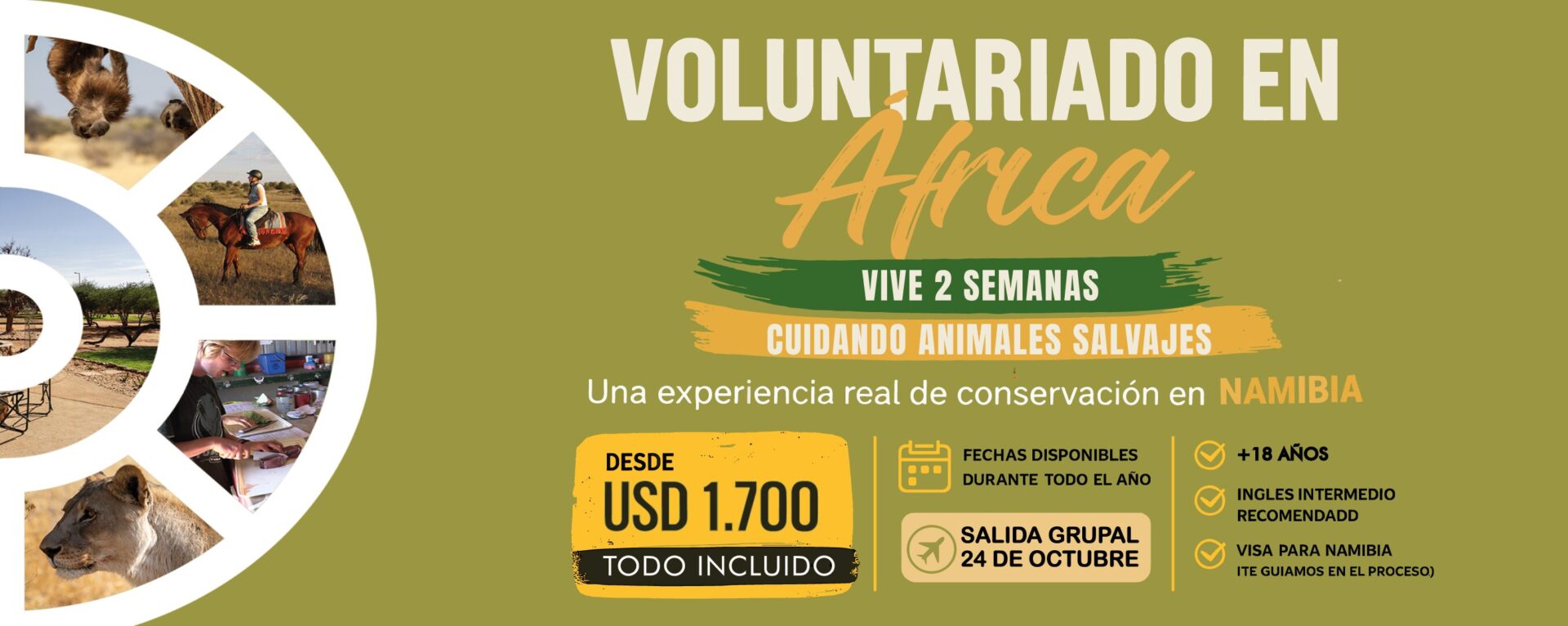 vOLUNTARIADO